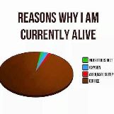 Coffee is the reason I'm alive