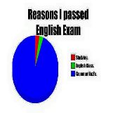 Grammar Nazi's Pie Chart