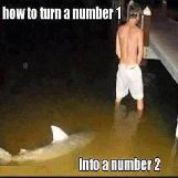 Shark Knows How to Turn a Number 1 Into a Number 2