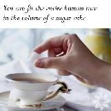 The Entire Human Race in a Sugar Cube