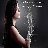 The Human Body is Mostly Water