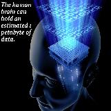 The Human Brain Can Hold a Ridiculous Amount of Storage