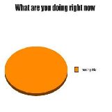 What Are You Doing Right Now Pie Chart