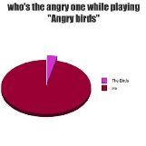 Who Is Angry Playing Angry Birds Pie Chart