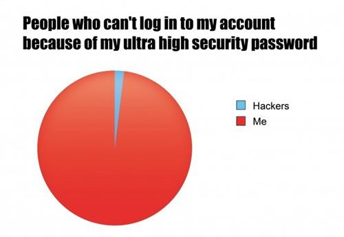 High Security Password Pie Chart