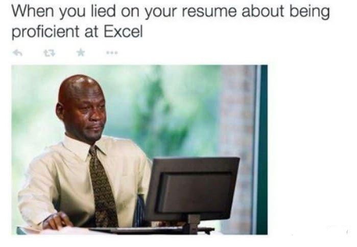 lied-on-resume-about-being-proficient-at-microsoft-excel.JPG
