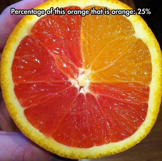 Percentage of this Orange that is Orange: 25%